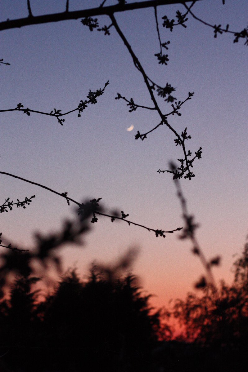 Justeen_R's tweet photo. La beauté du ciel de ce soir 🌙 https://t.co/PNWz0g8AE0