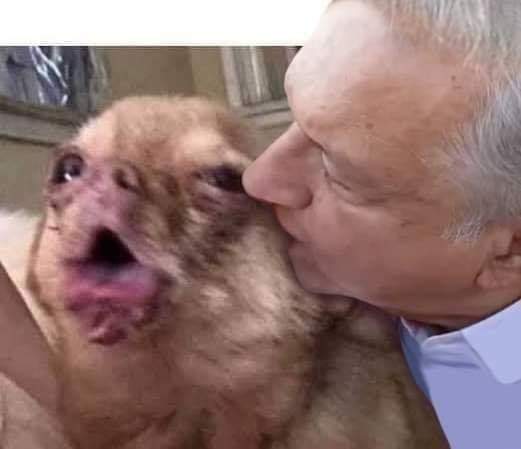 UnaHumildePapa's tweet photo. Mientras tanto en Facebook😂😂😂 https://t.co/rq9zbemWyl