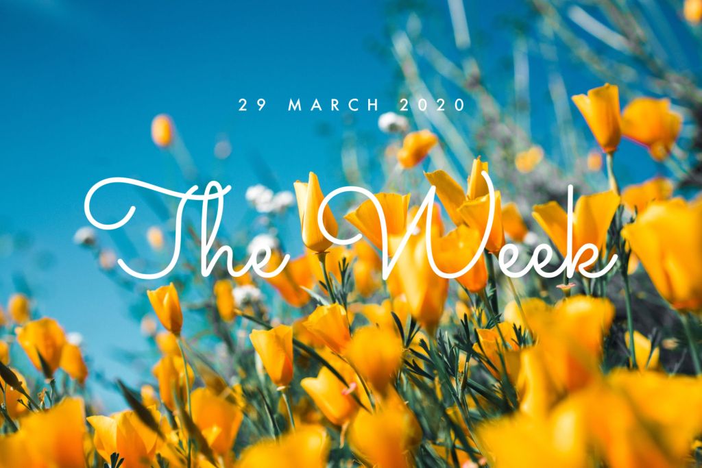 ImmanuelKnox's tweet photo. Here is your week at Immanuel... https://t.co/EwuN4iXHLl https://t.co/KMxPfXWlyT