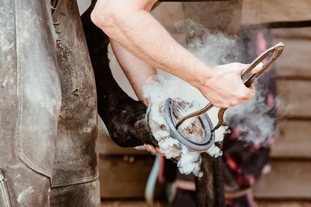 Extremely excited to announce that I have extended my stock gallery to include the work of a select handful of other incredible photographers!

First on board is the very lovely, super talented <a href="/bethlhicks/">Beth Hicks</a>

Beth is an equine and country photographer, bas… ift.tt/2WJm1bq