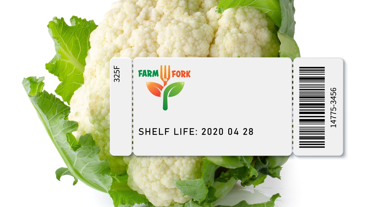 PIMMBuddy's tweet photo. Our PIMM™ #Analytics (#AI engine) system has access to all of the product data throughout the distribution process.
#ColdChainManagement- https://t.co/0omcMAm4DR or (858) 457-8160.
#FoodSafety #ShelfLife #inboundDelivery #outboundDelivery #SupplierDelivery #PIMM #Procuro https://t.co/OQFtBBlIch