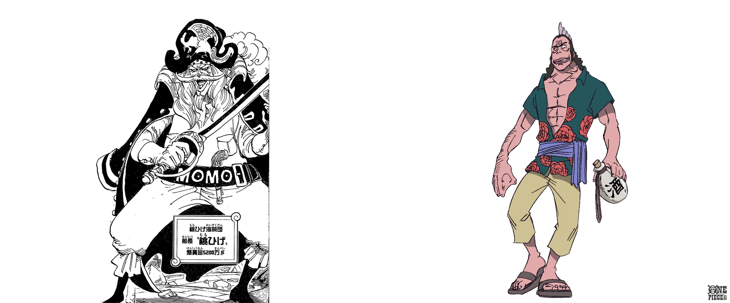 One Piece Com ワンピース على تويتر ニュース 本日誕生日キャラクターをチェック Onepiece T Co 1fofvvzdqo T Co 8bupt8wv1g تويتر