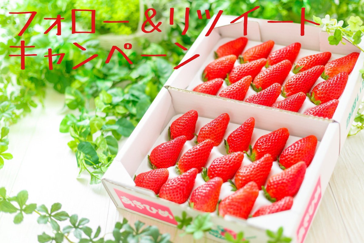 あきひめ(いちご)🍓 (@Akihime_ichi5) / Twitter