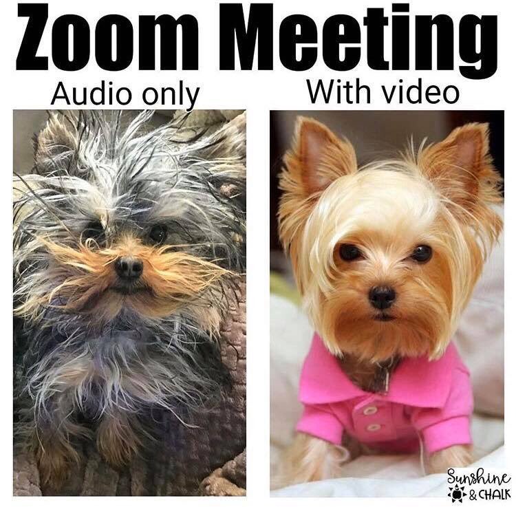 NCHS_AVID's tweet photo. You know it’s the truth. #distancelearning #extendedspringbreak https://t.co/0UhG3oGT7a