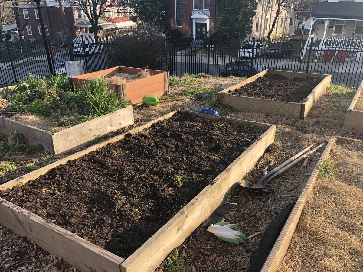 Project19401's tweet photo. The after school is still closed until further notice but the work in the garden must continue. Today we planted onions, Brussel sprouts, Swiss chard, spinach, and snap peas! https://t.co/etlpBQ0GC7
