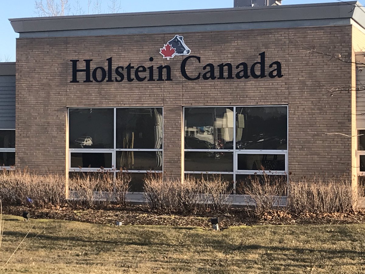AnnLouise06's tweet photo. Empty parking lot since March 24 - earlier for field colleagues ⁦@HolsteinCanada⁩ team is doing our part while continuing to serve our hardworking clients from our home offices. Health comes 1st - thx for providing healthy vital product to 🇨🇦 consumers https://t.co/0GAyVWue9i