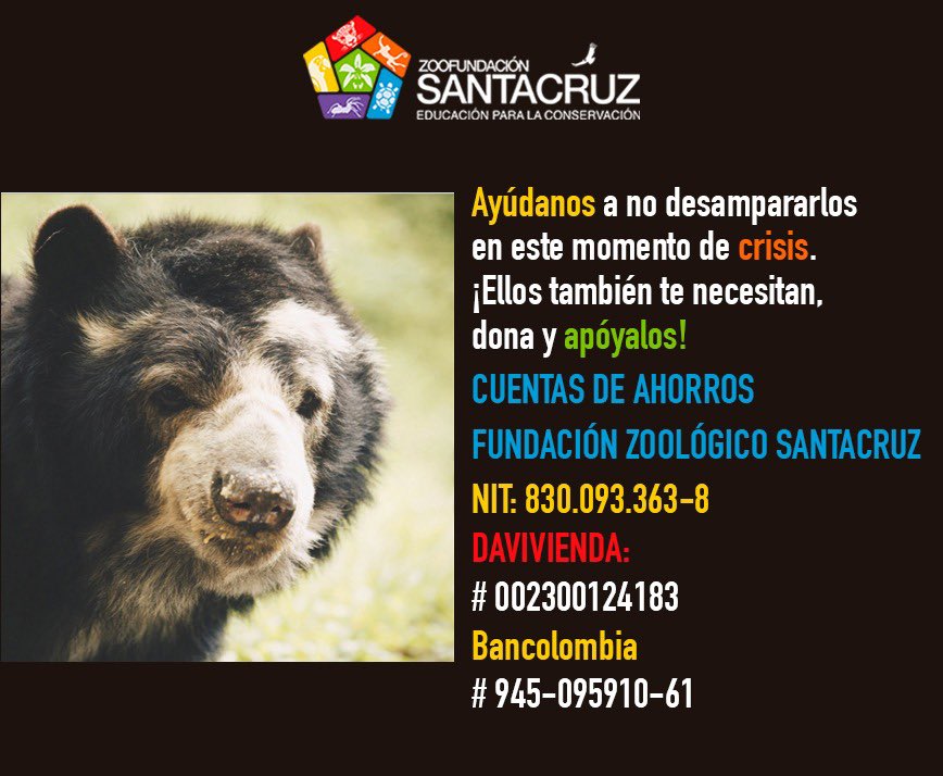 zoosantacruz's tweet photo. Siempre le hemos puesto el corazón a cada día por nuestros animalitos, nunca pensamos pasar por una situación como esta, pero estamos seguros de que con tu ayuda lograremos salir de ella y con cada uno de nuestros animalitos a salvo. ¡Ellos también te necesitan! https://t.co/EjdDZKMFMs