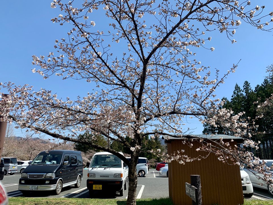 ZipIoc's tweet photo. 秩父 羊山公園 https://t.co/PAi4SsAfZt