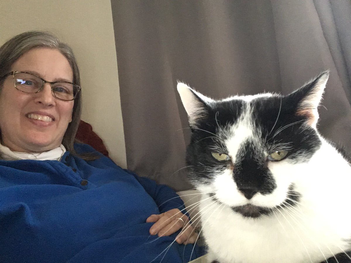 GLMSbands's tweet photo. When you’re trying to work and your family member sees an opportunity to be on the lap desk .... 😒. #glcsms #GLCSvirtualspiritweek https://t.co/7pkPxacwqM