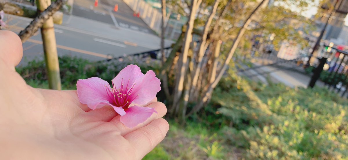 Rika_Minamida's tweet photo. 中之島をお散歩してきました☀️
素敵なお店がいっぱいありましたよ〜💕
YouTubeに動画をあげたので、ぜひご覧ください😳✨

うざい女代表！南田梨花によるお散歩コーナー！！in 中之島 https://t.co/PuBQoKcHln @YouTubeより

#うざい女
#南田梨花
#お散歩💛 https://t.co/SuuGZGx4pD