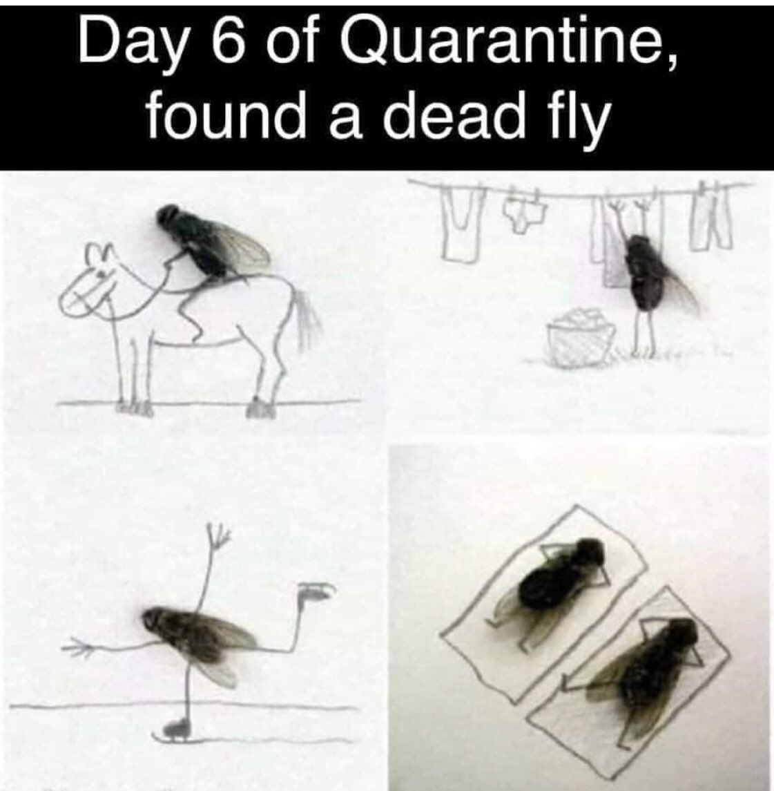 sc_ctr's tweet image. #SCLFM😂