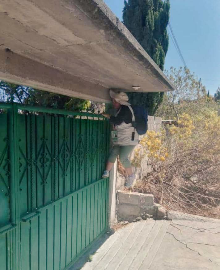 Gianni_Pex's tweet photo. Me encantaría saber quién entrenó a los del INEGI, ¿Los testigos de Jehová? ¿Cobranza Banamex? ¿Ninjas japoneses? https://t.co/gUnM6A1BlP