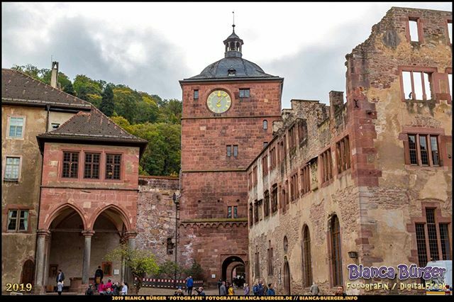 Schlosshof - Heidelberg (Oktober 2019)

#SchlossHeidelberg #Heidelberg #heidelbergram #visitheidelberg #heidelberggermany #BadenWürttemberg #Deutschland #Germany #biancabuergerphotography #igersgermany #igersberlin #IG_Deutschland #ig_germany #shootcamp #canondeutschland #si…