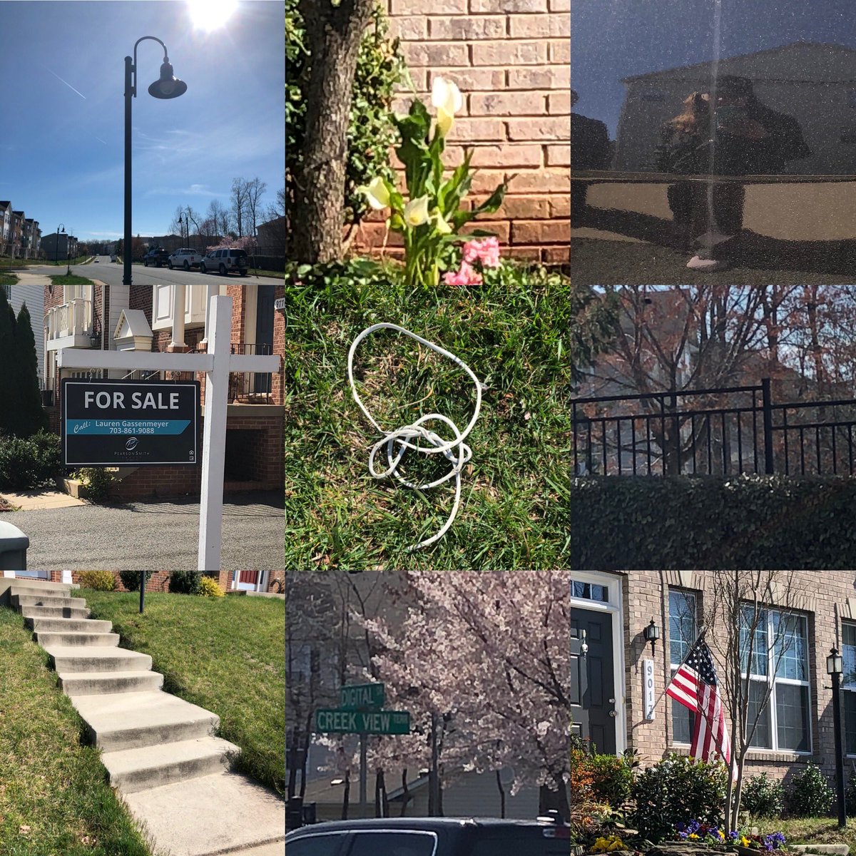 SullyMusicMsP's tweet photo. 2 syllables- lamppost, flower in bloom, reflection, for sale sign, something twisted, two kinds of leaves, more than 8 stairs, tree in bloom and street sign with more than 5 vowels, American flag #SullyScavengerHunt @SullyES_LCPS Thanks @Abearin2nd ! We had a blast :) https://t.co/2vO18UQAfk