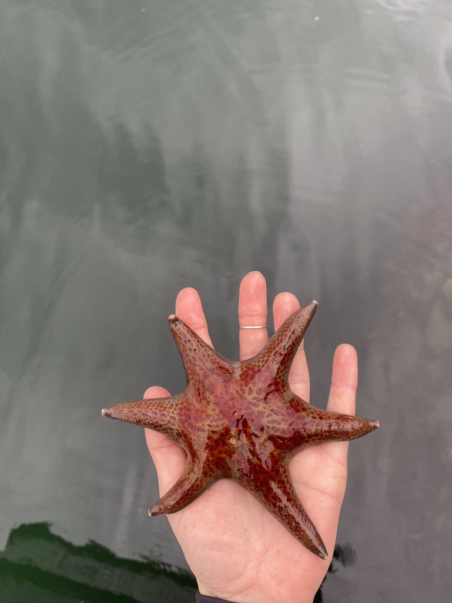 Josie Osborne on Twitter: 