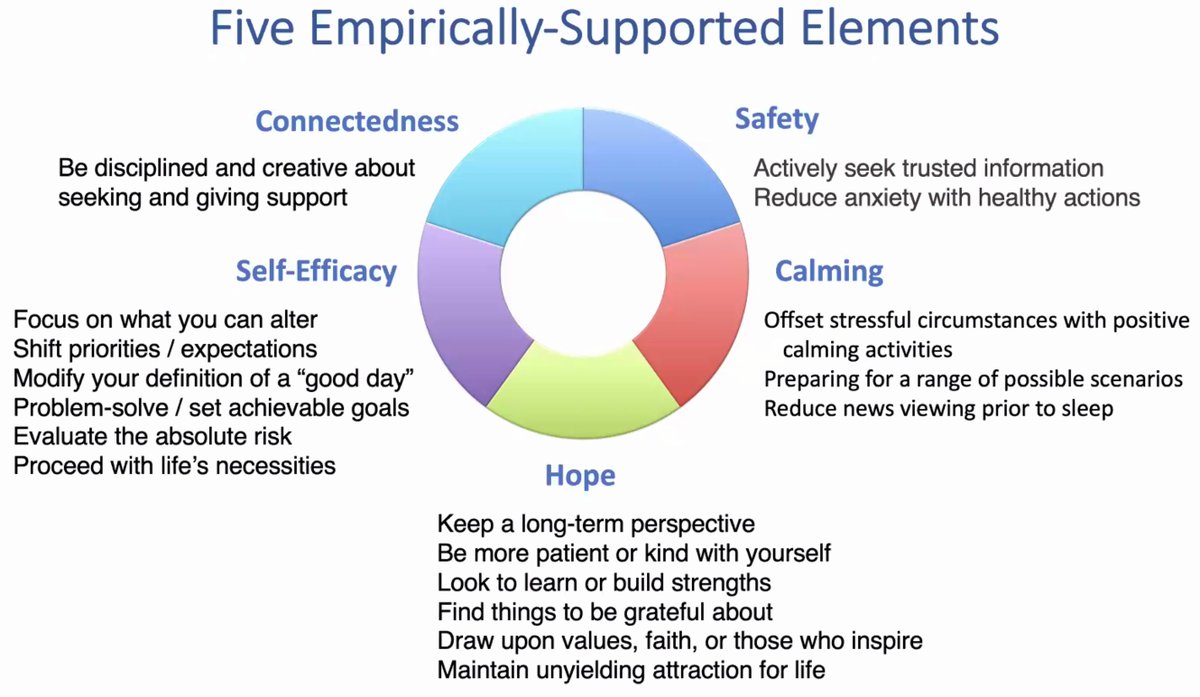 tammy_jiang's tweet photo. COVID-19 is a mass traumatic event and below are the essential elements of interventions to address mental health consequences from Dr. Patricia Watson @BUSPH 's coronavirus seminar #COVID2019 #mentalhealth #Trauma https://t.co/s407aduUyd