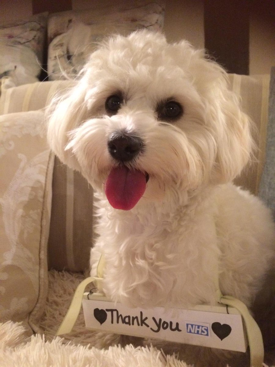 Thank you to the wonderful <a href="/NHSuk/">NHS</a> #ClapForCarers #clapforNHS