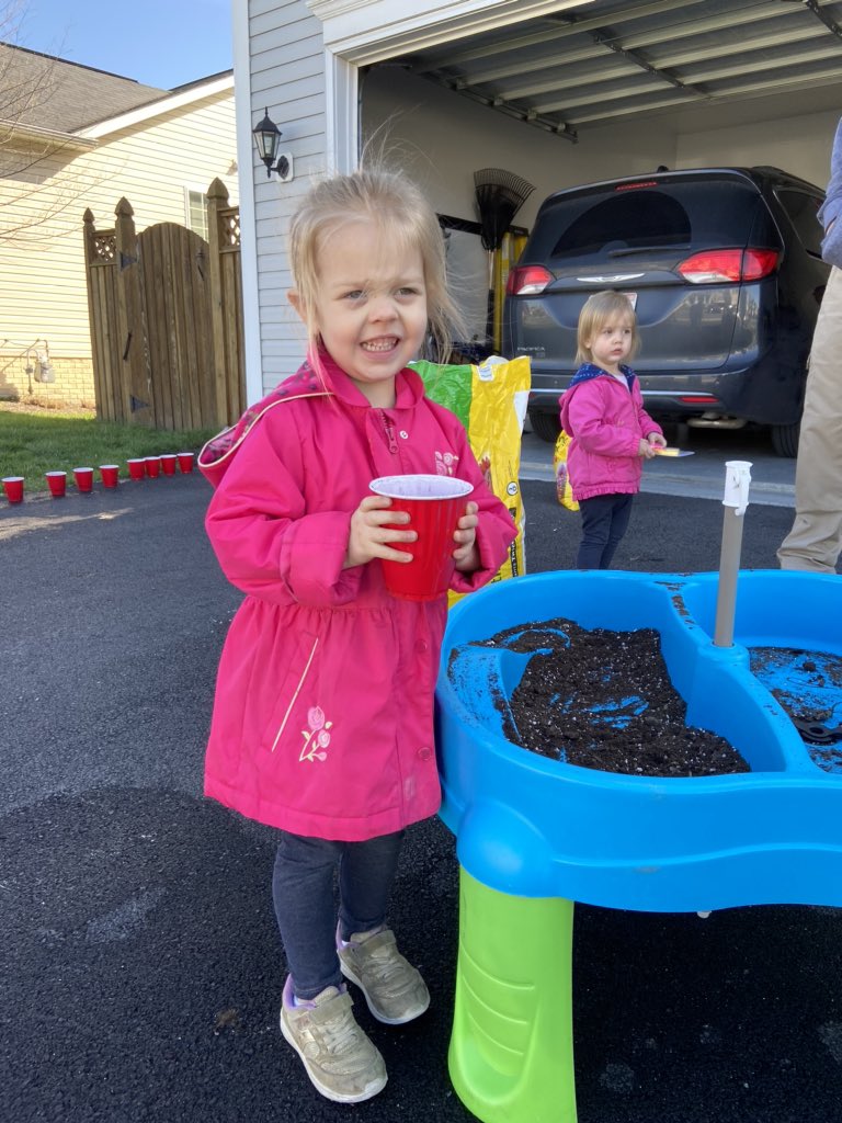 troxell_heather's tweet photo. Our science project for the day! We will eventually be able to learn about the different parts of a flower. #sunflowers #greenthumb #easyandcheap ❤️ https://t.co/7Eaoh0pjvU