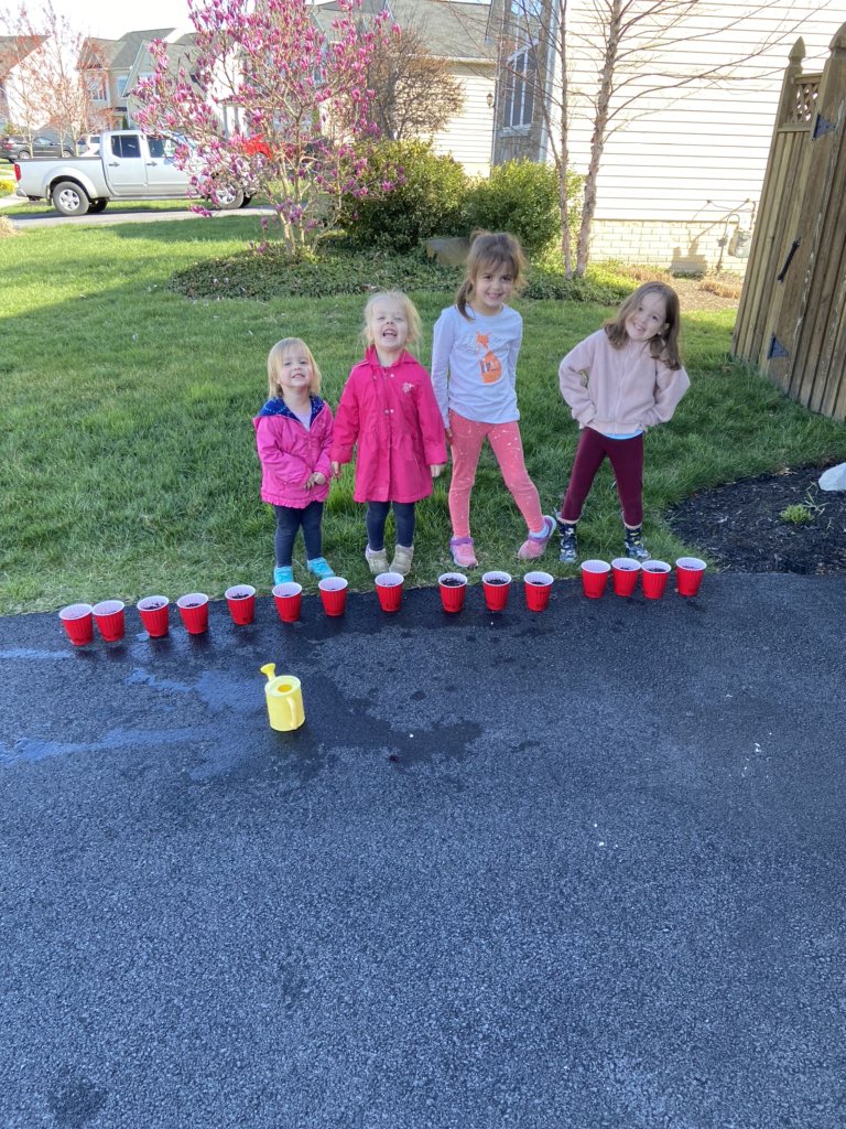 troxell_heather's tweet photo. Our science project for the day! We will eventually be able to learn about the different parts of a flower. #sunflowers #greenthumb #easyandcheap ❤️ https://t.co/7Eaoh0pjvU