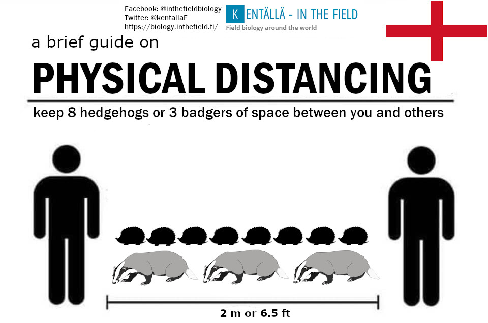KentallaBiology's tweet photo. England, the nation that gifted many others with the imperial measurement system, needs a complex system to feel at home. 

So your safety zone in England is eight hedgehogs or three badgers. 

Please remember that one badger is equal to 2.7 hedgehogs!

Ping @BorisJohnson https://t.co/gFYIBiaHo2