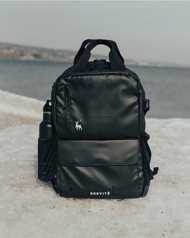 brevite the original