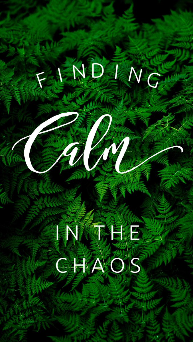ESmileyELA's tweet photo. Check out my latest blog post: Finding Calm in the Chaos https://t.co/7320WVdupF https://t.co/11NTELNM3g