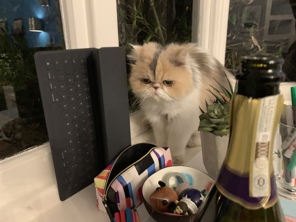 GraceWaring22's tweet photo. Had my first ever Zoom virtual drinks party 2night π₯³joined by #grumpybluecat, it was such fun! We danced, we laughed. Canβt wait until the next time. Very blessed 2 have such good friends, virtual & otherwise ππΌπ₯³π₯π€£& I drank a whole bottle of fizz, how did that happen?!π³π€·ββοΈπ https://t.co/CJqiVbujbT