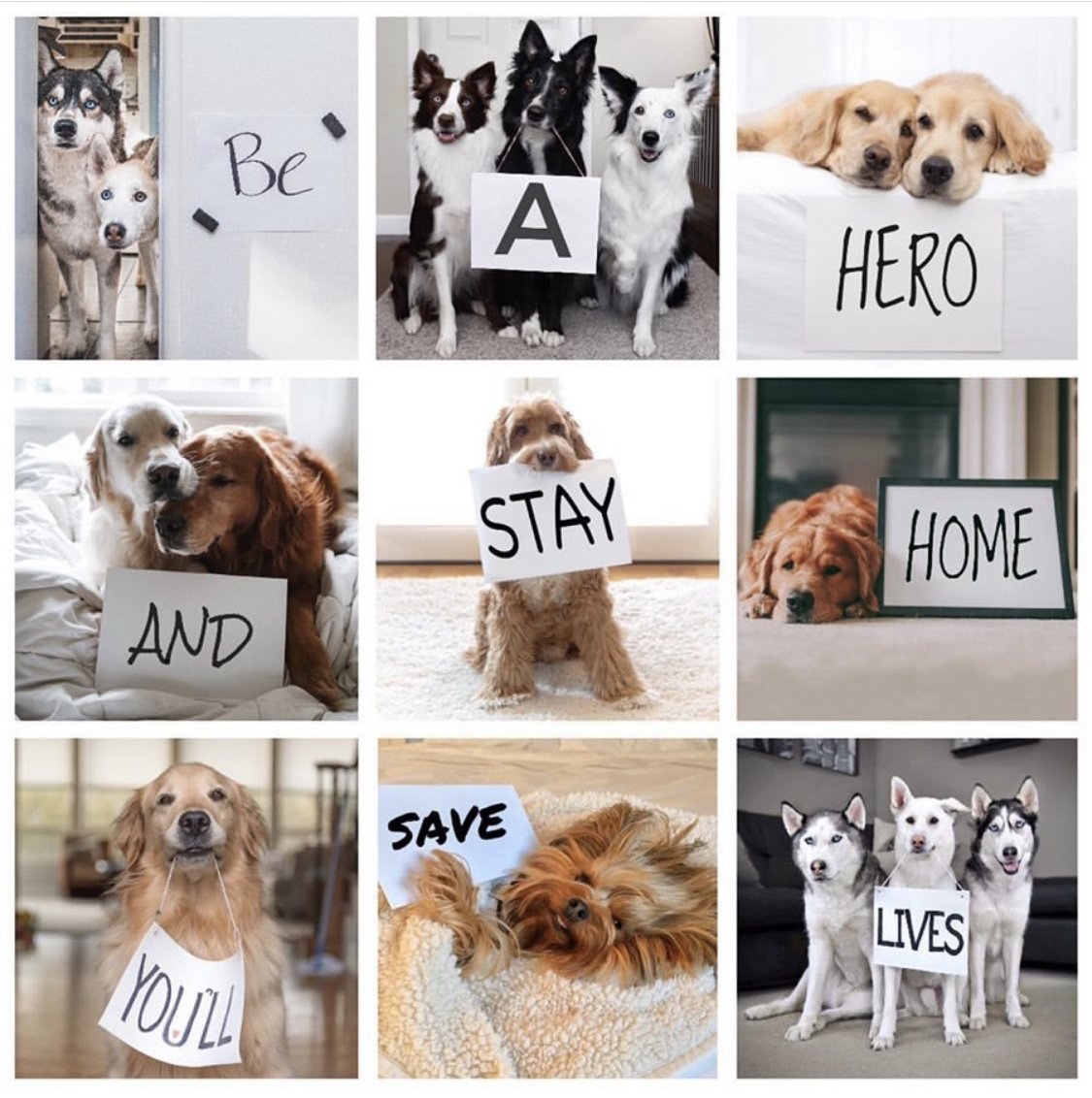 Please remember to take the coronavirus epidemic very seriously.
#StayHome
#WashYourHands
#FlattenTheCurve