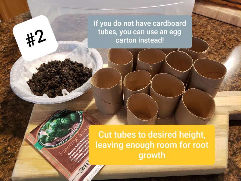 pennsylvaniaffa's tweet photo. The second tutorial is a garden starter! Spring is around the corner, so start your gardening plans now!
If you follow this tutorial, please post your craft(s) using #paffaproud ππ Stay safe, keep moving forward, and share some kindness! https://t.co/Qn3K4OmaI9