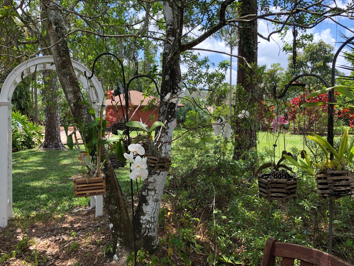 marierob11's tweet photo. A5: Here in Florida we're still able to get out into our yards and neighborhood on a very limited basis. I love growing orchids and I have a place in my garden called "My Pretty Spot."  That's where you'll find me every chance I get! #SMARTchat https://t.co/VR1uEkTHrX