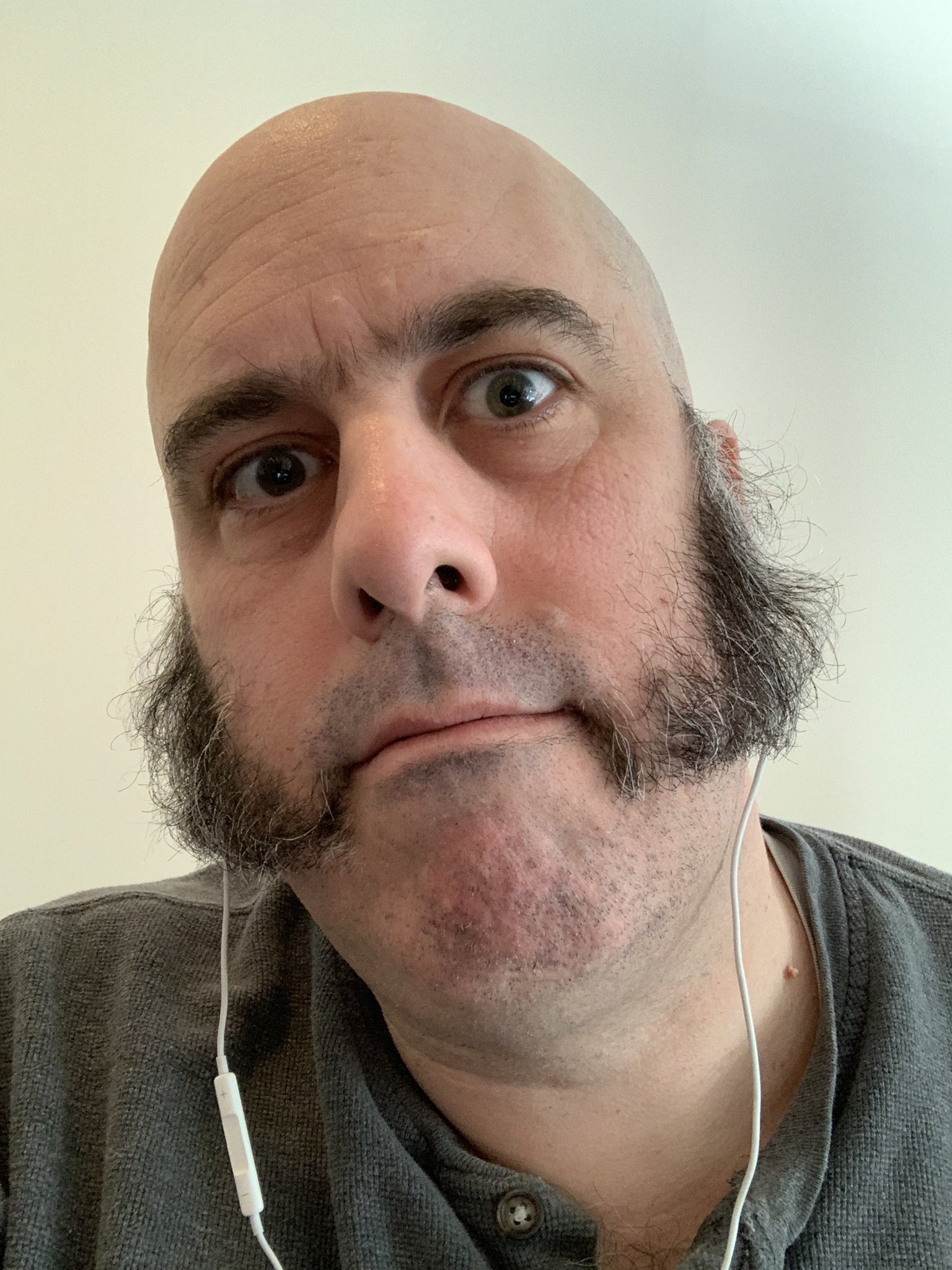 Chris Casal On Twitter I Ll See Your Hermit Beard And Raise You Some Lamb Chops