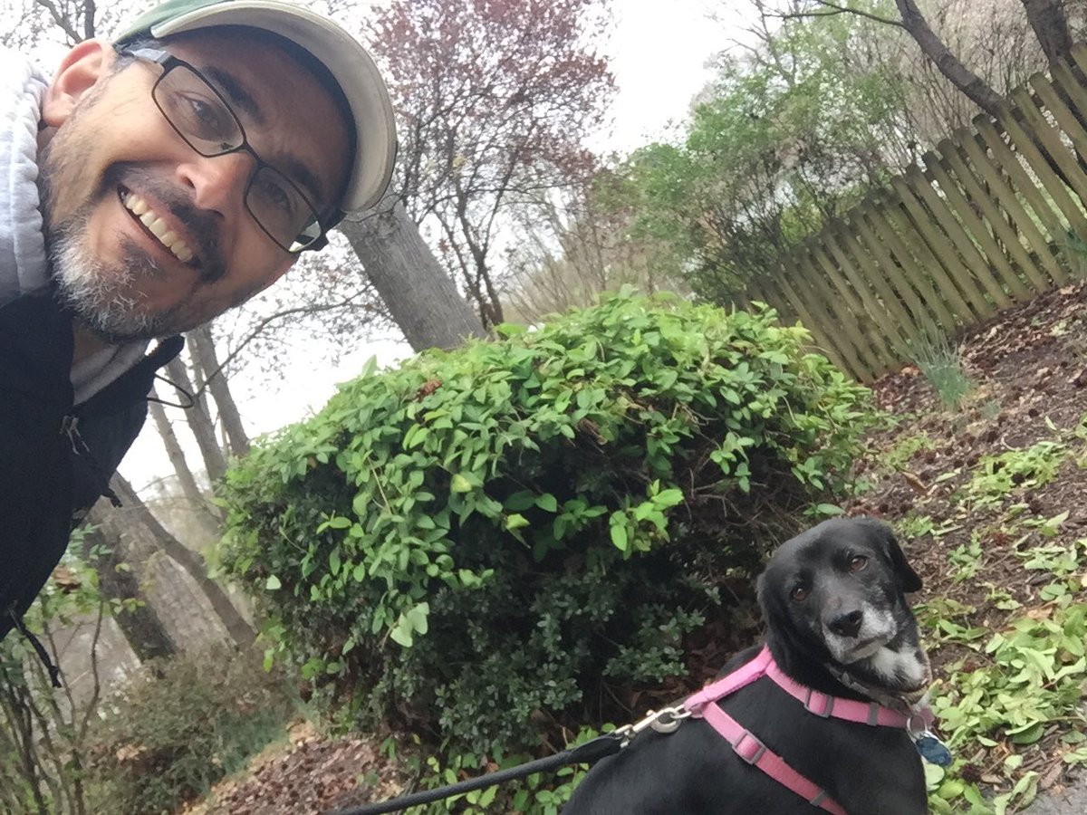 Alfonso Favale tweet media