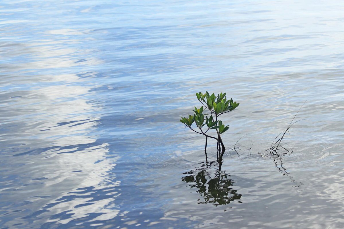 KosterKoster1's tweet photo. Resilience: 7 habits to help your employees stay strong through times of uncertainty https://t.co/ibEX7UK8rS #iwork4kronos https://t.co/JJVnef22SX