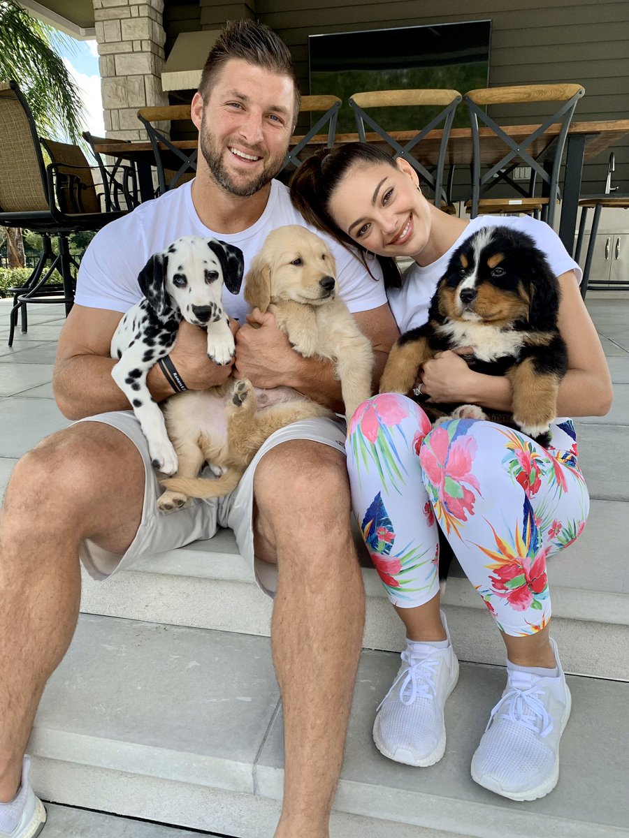 TimTebow's tweet photo. Meet the Tebow Pack! Paris, Kobe &amp; Chunk Tebow https://t.co/QuZeiKjBiA