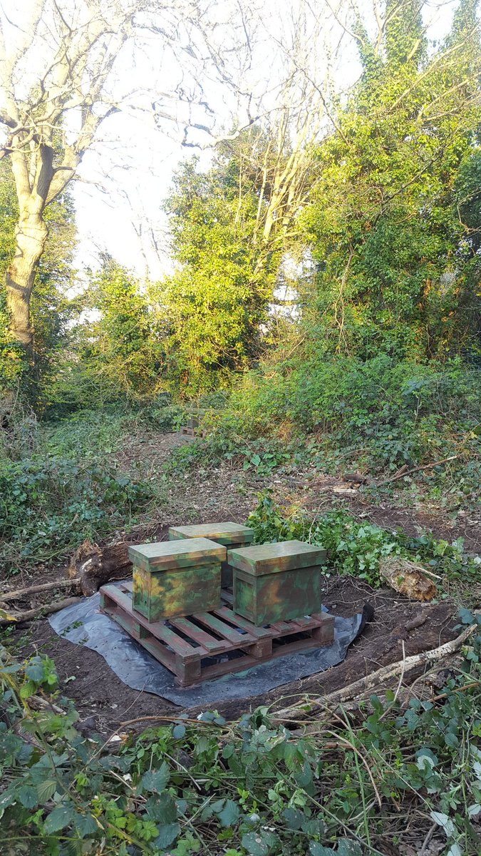BeekeepersHour's tweet photo. This week, as part of setting up a new apiary, we also joined @bee_improvement, so this is a total new venture for us ๐
๐๐ป๐๐ป๐
We've even occupied a nuc ๐
๐๐ป๐๐ป๐
Are there any #BIBBA members here? ๐
#BeekeepersHour https://t.co/Z4coSMqWM1