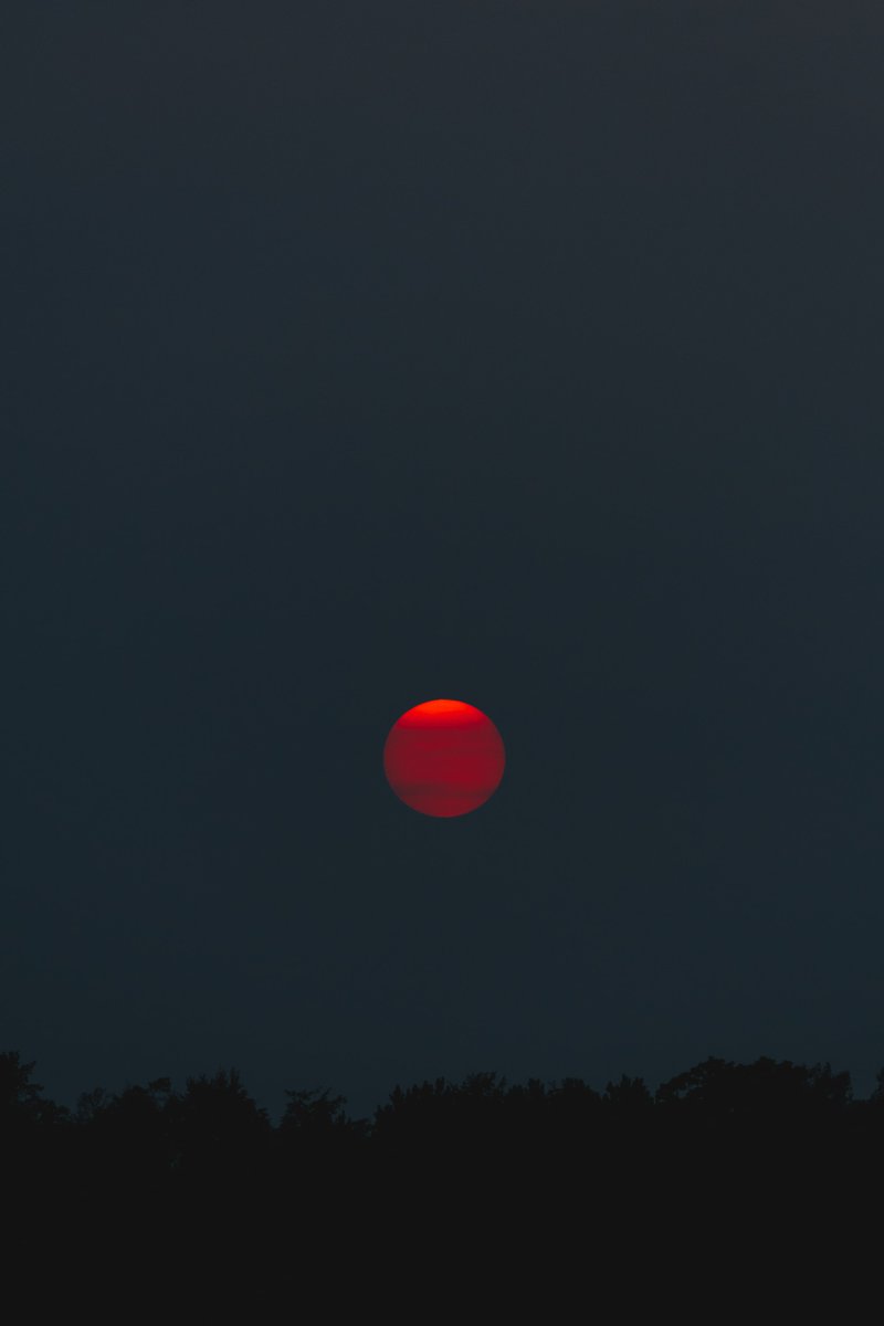 cwfcreatives's tweet image. Amazing voices from all over the world already sharing their days and experiences in this wonderful new space

'Solidarity from at least two metres away. This site archives journal accounts of our days, wherever in the world' during the spread of COVID-19

lockdownjournal.com