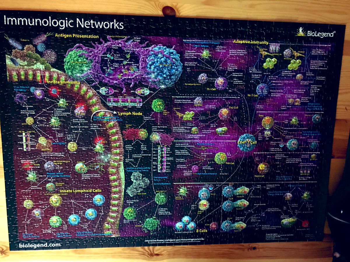 Afternoon break for immunology PhDs working at home 🧩🧩 
Loved it 😆 xx <a href="/BioLegend/">BioLegend from Revvity</a> 
(Was literally sorting out different types of cells by hand 🤚a different kind of sorting in days like this 🤣