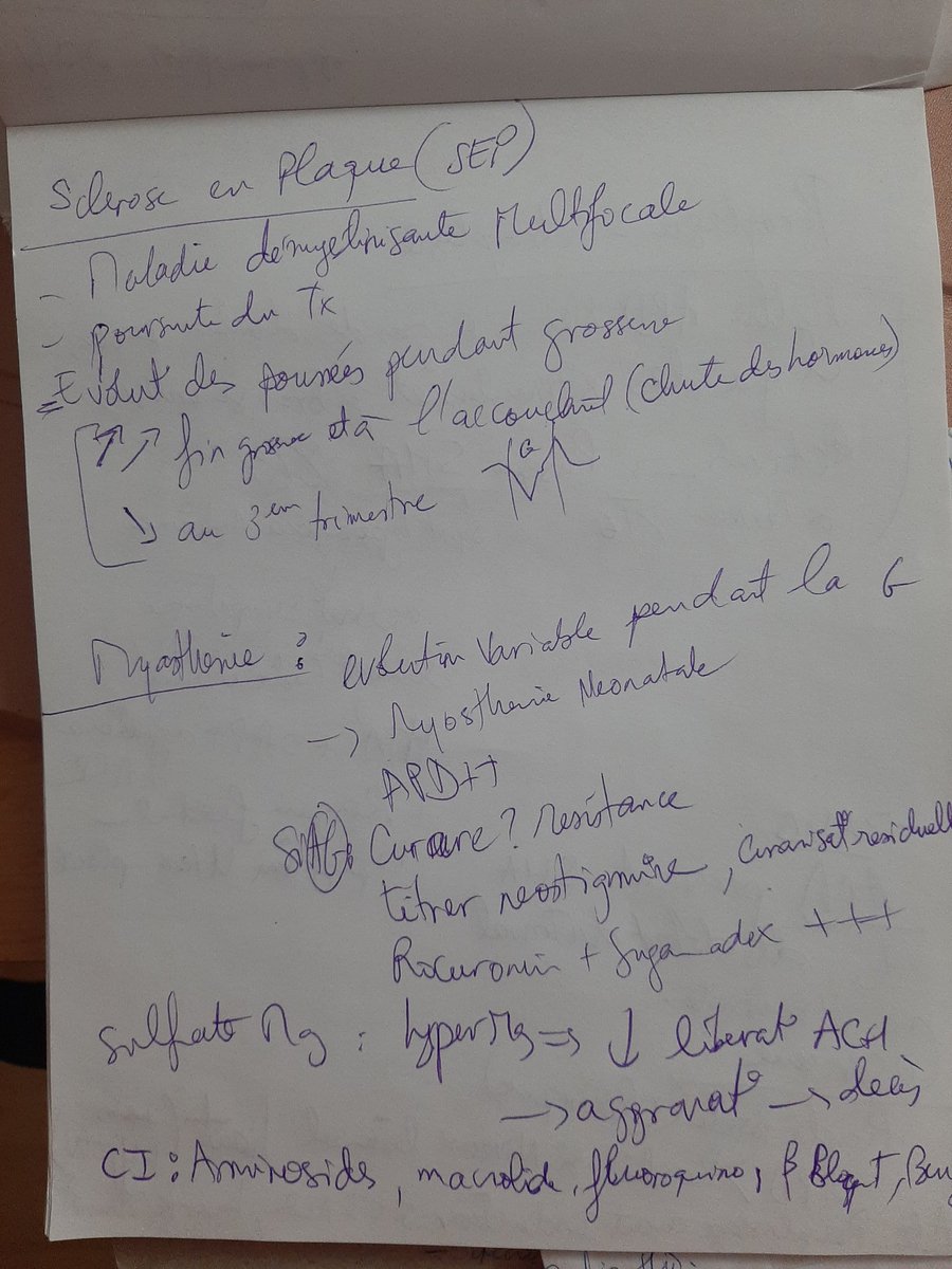 MariaaYasminee's tweet photo. #ThisIsMyHandwriting 😂🤭
I nominate: @CarmenChammas @roulanasr1 @DrHamouche @carolhaddaddd @gescardo https://t.co/VLEHnfMyOa