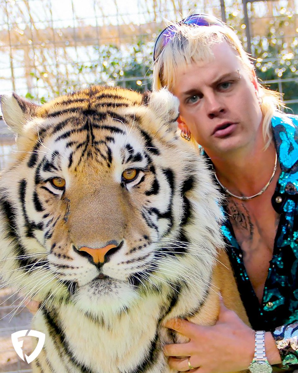 joe burrow tiger king