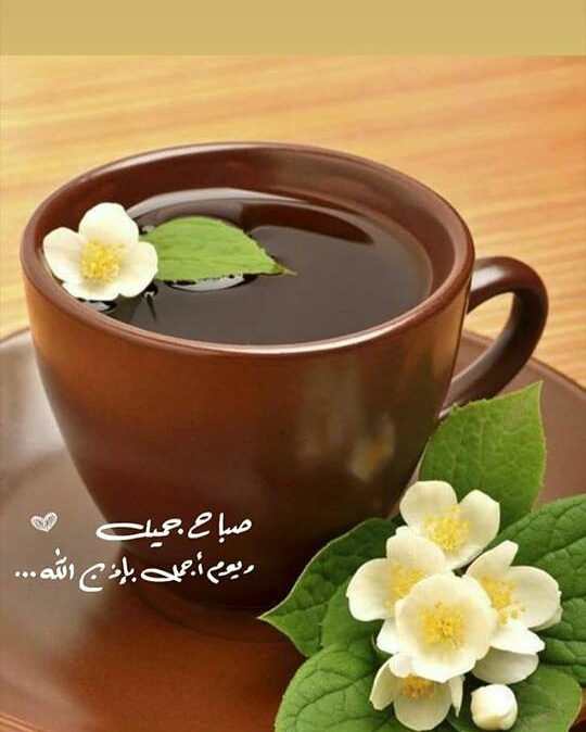 mobarakibi's tweet image. 