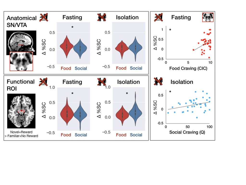 Second, what we found. The title is a spoiler for the results of course: we found similar midbrain activity in response to food cues after fasting and social cues after isolation.