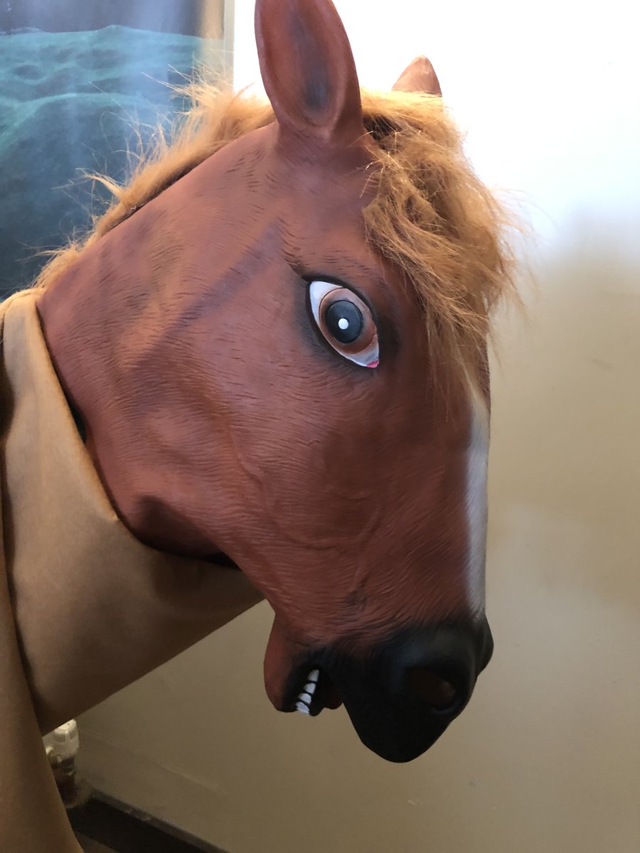 Sala_Sios's tweet photo. My finished display! I made sure to set up my display in my school before we closed! It consists of a full size horse made from our school gyms pommel horse, a styrofoam neck covered in brown material &amp; a horse head mask! @KerrySEP @StudentEntProg @PresCisland @WazpWorkLive https://t.co/NjcWrPSFAA