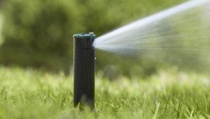 YourOuterImage's tweet photo. Irrigation Tips to Help Your Yard Look the Best It Can With the Least Amount of Water Necessary!
https://t.co/GW2B4PEHRq https://t.co/BnlsjeJXgi