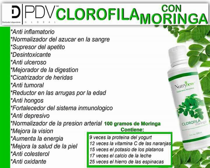EmilianoBarcelo's tweet photo. ¿Qué están haciendo para levantar sus defensas? ¿Cómo fortalecen su #SistemaInmunológico ante el #COVID19mx? Nosotros en casa tomamos diario #Clorofila con #Moringa de #Nutriness. Esta combinación potencia la #VitaminC, el #Calcio, el #Potacio y el #Hierro. Altamente sugerido https://t.co/ulCSXV4CGm