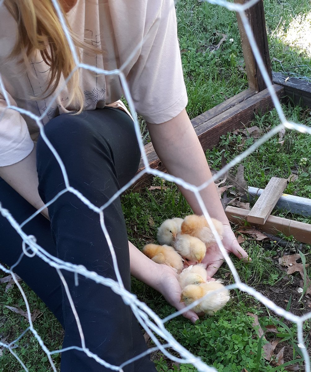 Platosgroove's tweet photo. The girls first day outside
#whirlviews #flow #waterfirst #priority #waterfirstpriority #WaterIsLife #livingwater #earth #laugh #cry #play #human https://t.co/X51cRS8t14