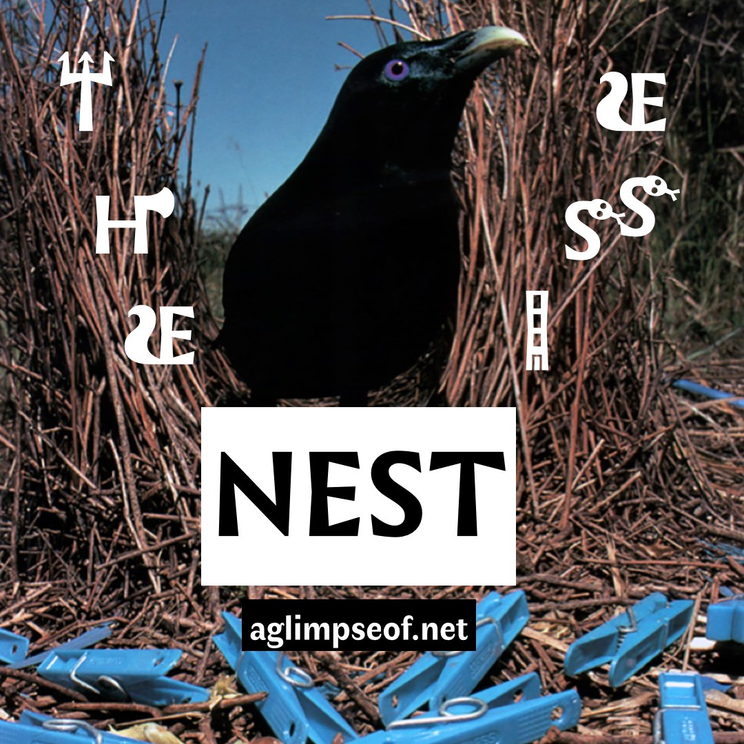 aglimpseof's tweet photo. OPEN CALL | THE NEST ISSUE

If you feel like sharing your thoughts during this time, send along yr collab poems, yr monologues &amp; drawings, yr tears, yr aargh!, yr sleepless nights, yr manifestos, yr curses, yr sadness.  

Please check the guidelines here: https://t.co/06ojr0KarQ https://t.co/M2PueEPSK8