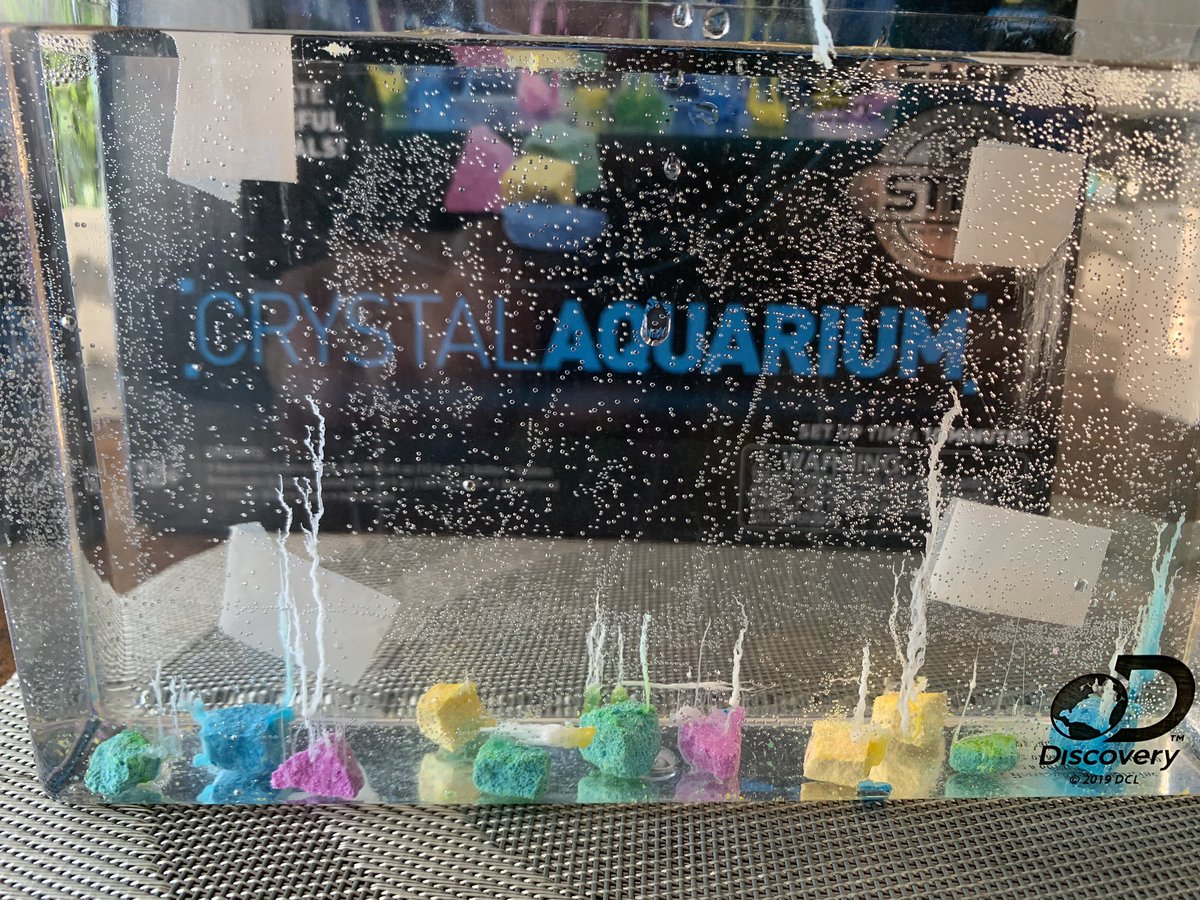 chrishvail's tweet photo. Today’s STEAM activity was creating crystals. We learned it’s important to follow the directions EXACTLY as they are written! #StayConnectedCPS @GBI_CPS @grassfield_hs @andreavail07 https://t.co/l1h15Dbjg1
