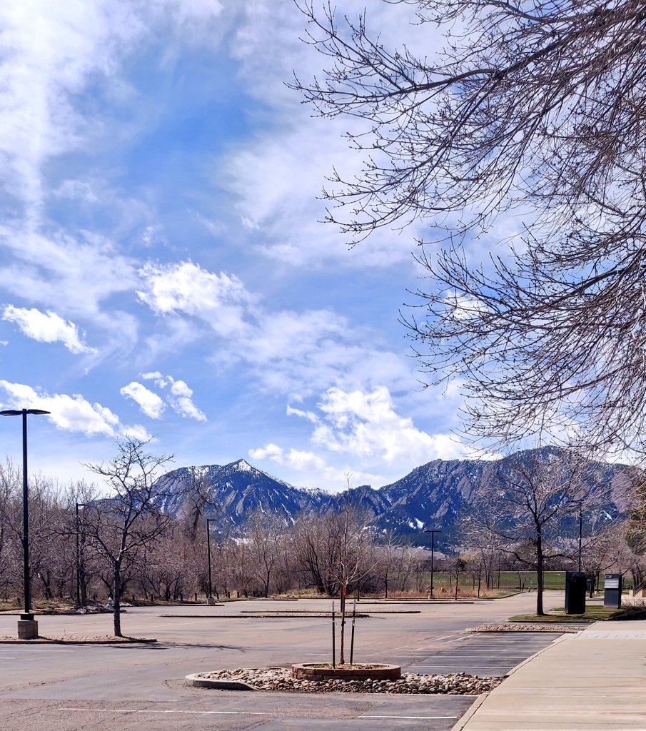 Mags Flaherty tweet media