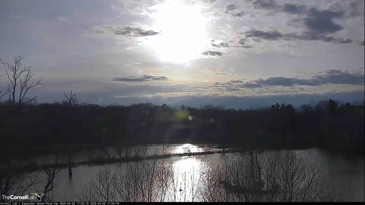 3/26/2020 17:55 EDT  Join us for sunset!  A great way to end another tough day!  #PondCam #BirdCams