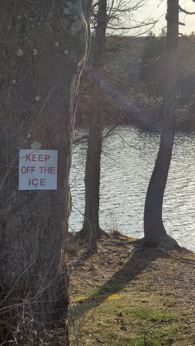 Steve Levy tweet media